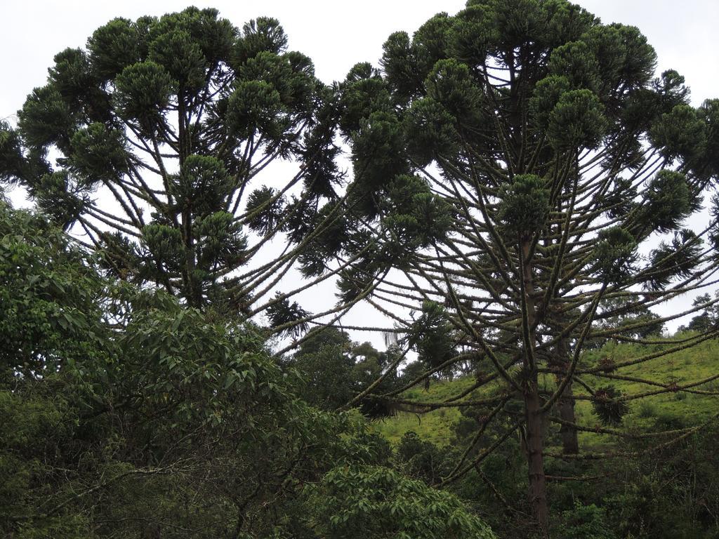 Tô na Roça Vila Cunha Exterior foto