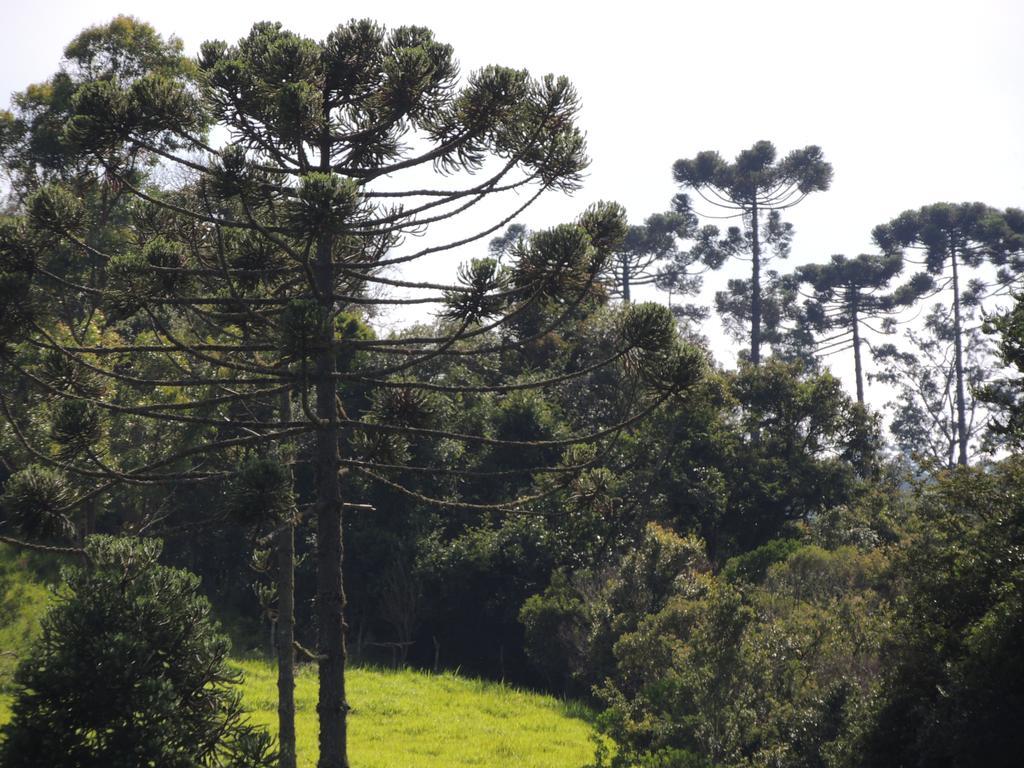 Tô na Roça Vila Cunha Exterior foto